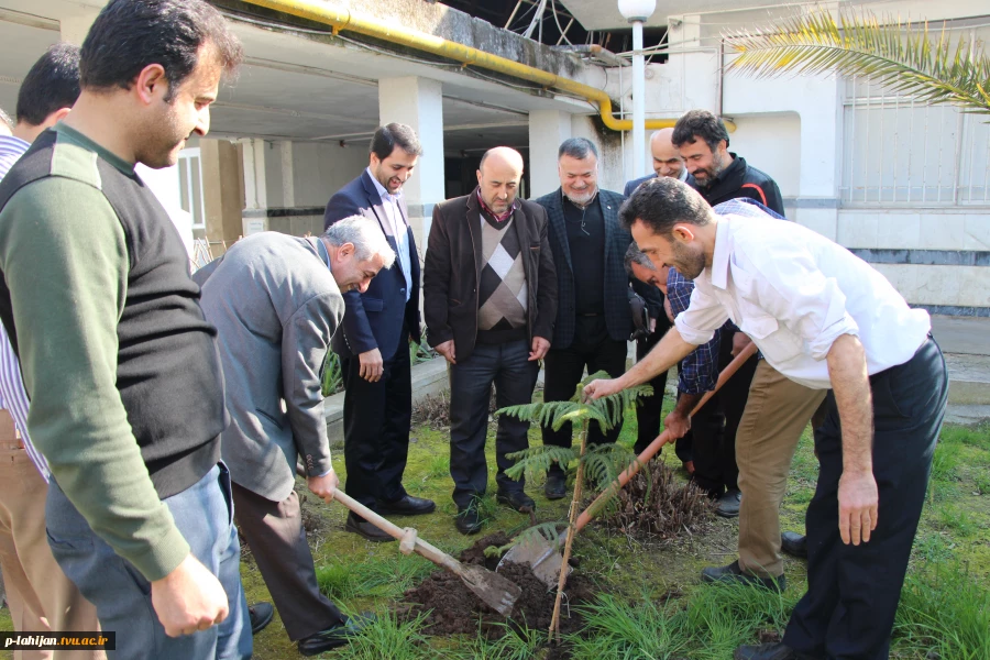 روز درخت کاری  2