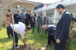 روز درخت کاری  5