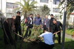 روز درخت کاری  4