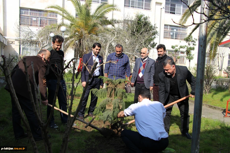 روز درخت کاری  4