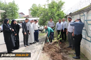 پویش درختکاری دانشگاهیان به نیابت از شهدا، در دانشگاه ملی مهارت واحد شهید رجایی لاهیجان  3
