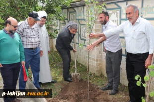 پویش درختکاری دانشگاهیان به نیابت از شهدا، در دانشگاه ملی مهارت واحد شهید رجایی لاهیجان  5