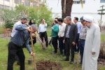 پویش درختکاری دانشگاهیان به نیابت از شهدا، در دانشگاه ملی مهارت واحد شهید رجایی لاهیجان  9