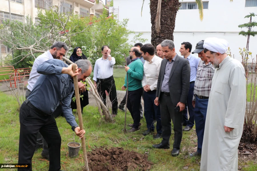 پویش درختکاری دانشگاهیان به نیابت از شهدا، در دانشگاه ملی مهارت واحد شهید رجایی لاهیجان  9