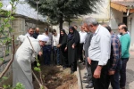 پویش درختکاری دانشگاهیان به نیابت از شهدا، در دانشگاه ملی مهارت واحد شهید رجایی لاهیجان  11