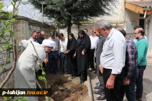پویش درختکاری دانشگاهیان به نیابت از شهدا، در دانشگاه ملی مهارت واحد شهید رجایی لاهیجان  11