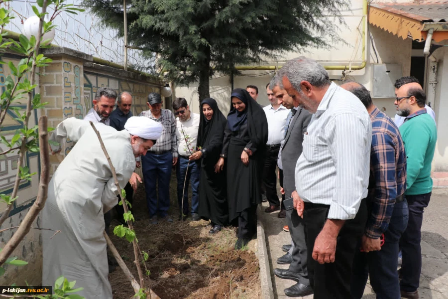 پویش درختکاری دانشگاهیان به نیابت از شهدا، در دانشگاه ملی مهارت واحد شهید رجایی لاهیجان  11