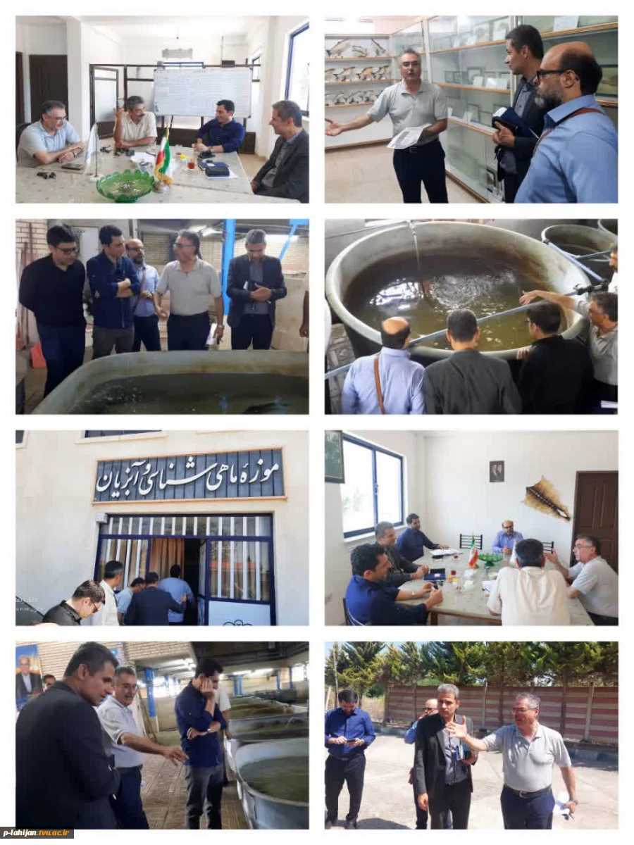 بازدید شیلات